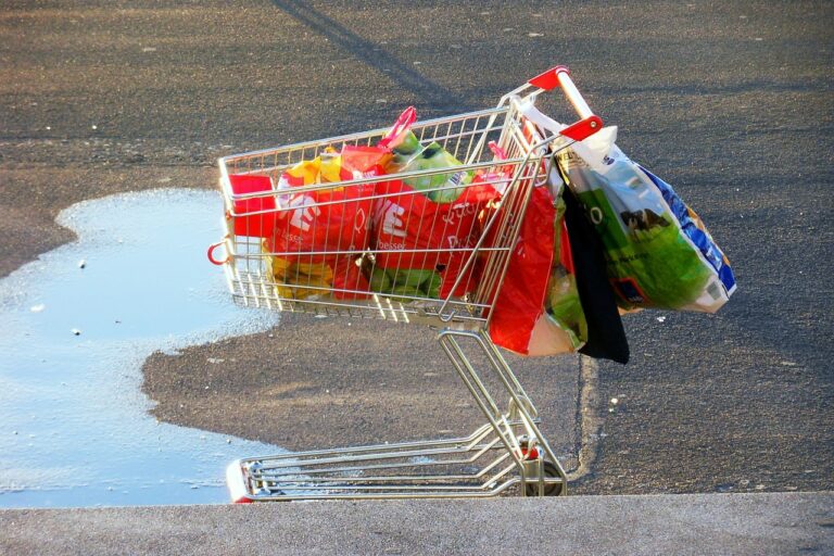 The Role of Social Media in Shaping Beauty Standards and Shopping Habits