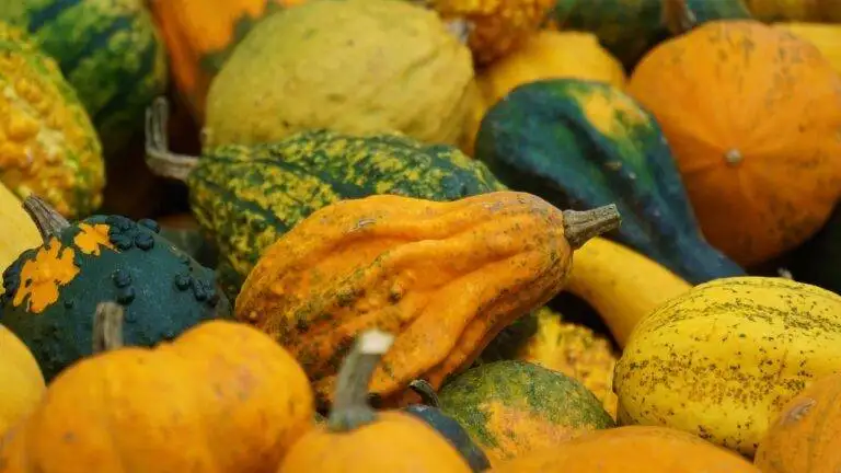 Exploring Holistic Health Practices: Integrating Mind, Body, and Spirit