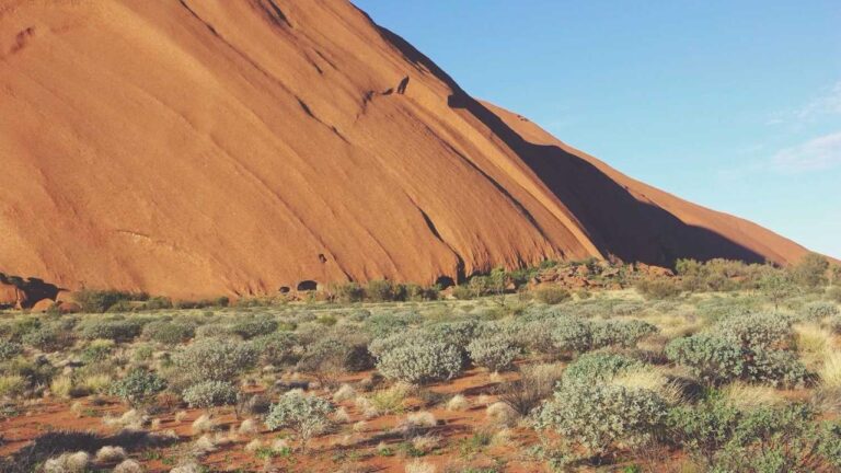 How Large Is The Reddy Anna 11Xplay Login Download Apk File?